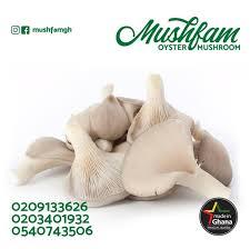 Mushfam Limited