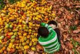 Harry Cole Cocoa Farm