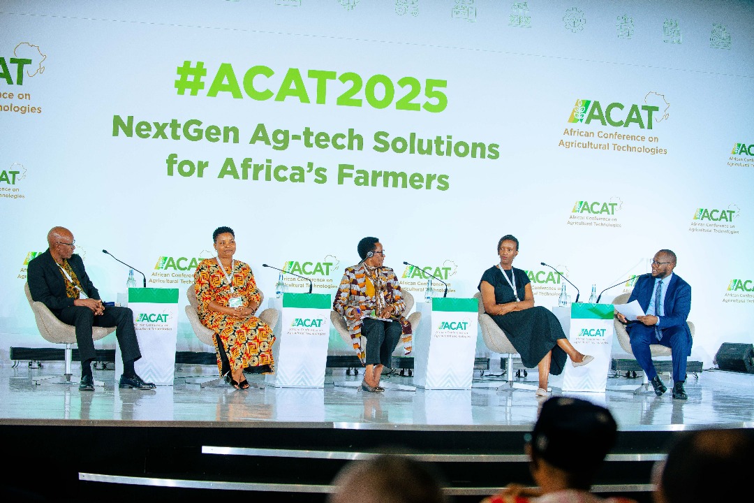 Food security: A farmer-centric approach is needed to transform African agriculture